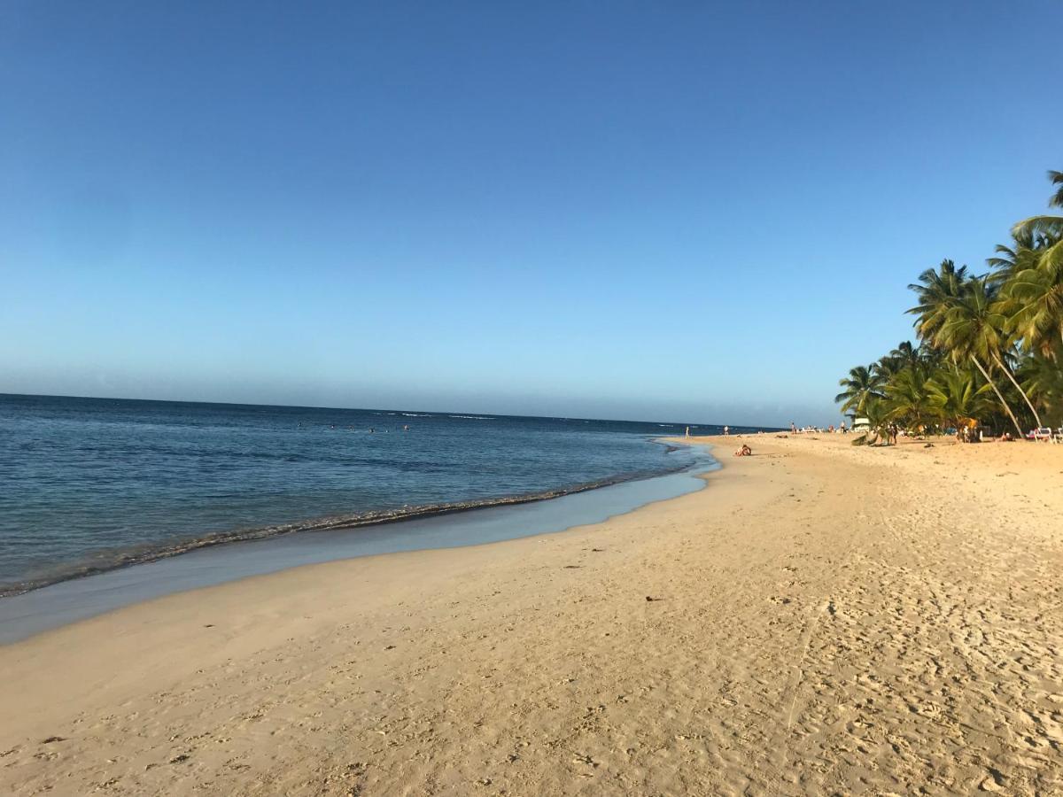 Cozy Oceanfront Villa With Direct Beach Access Las Terrenas Eksteriør bilde