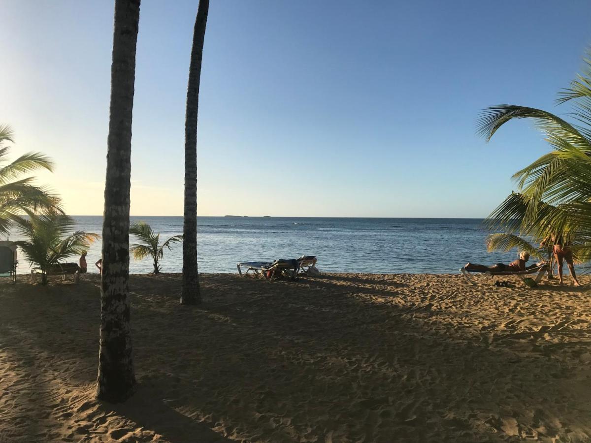 Cozy Oceanfront Villa With Direct Beach Access Las Terrenas Eksteriør bilde