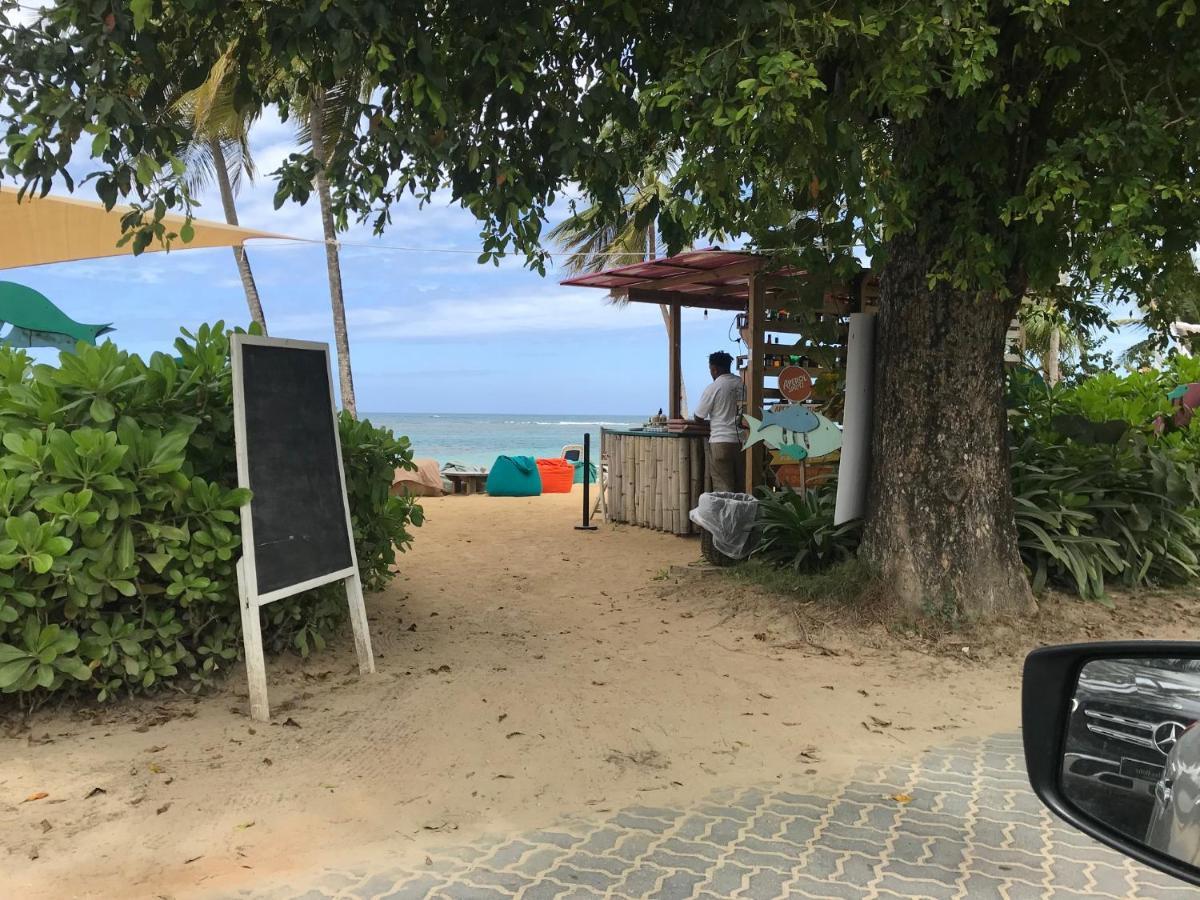 Cozy Oceanfront Villa With Direct Beach Access Las Terrenas Eksteriør bilde