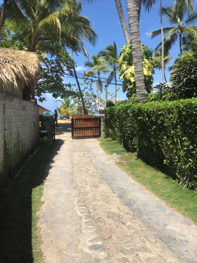 Cozy Oceanfront Villa With Direct Beach Access Las Terrenas Eksteriør bilde
