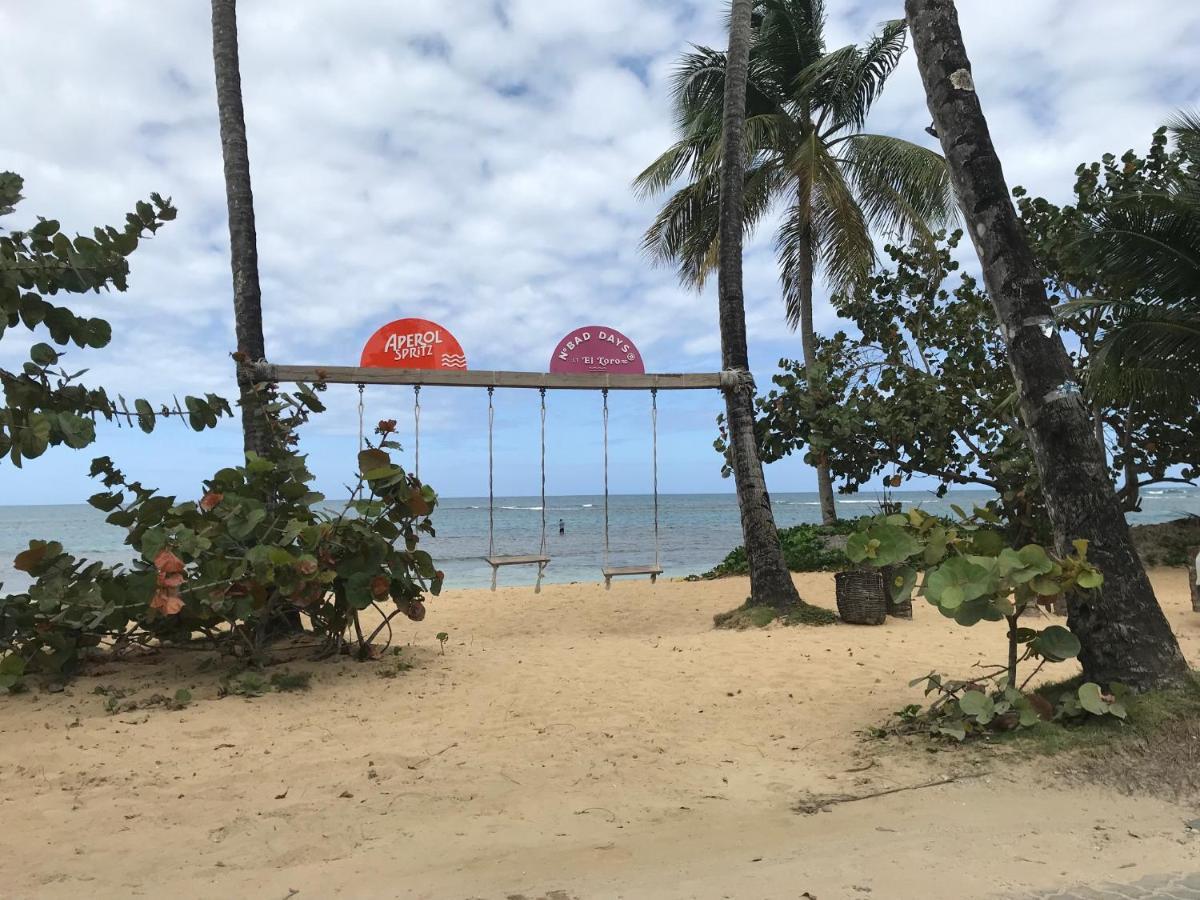 Cozy Oceanfront Villa With Direct Beach Access Las Terrenas Eksteriør bilde